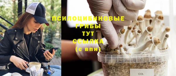 гашик Алексеевка