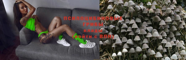 крисы Абинск